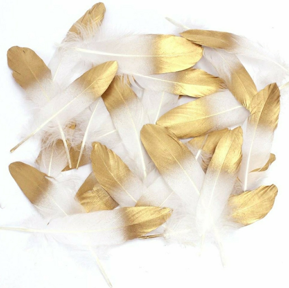 Gold tipped feathers